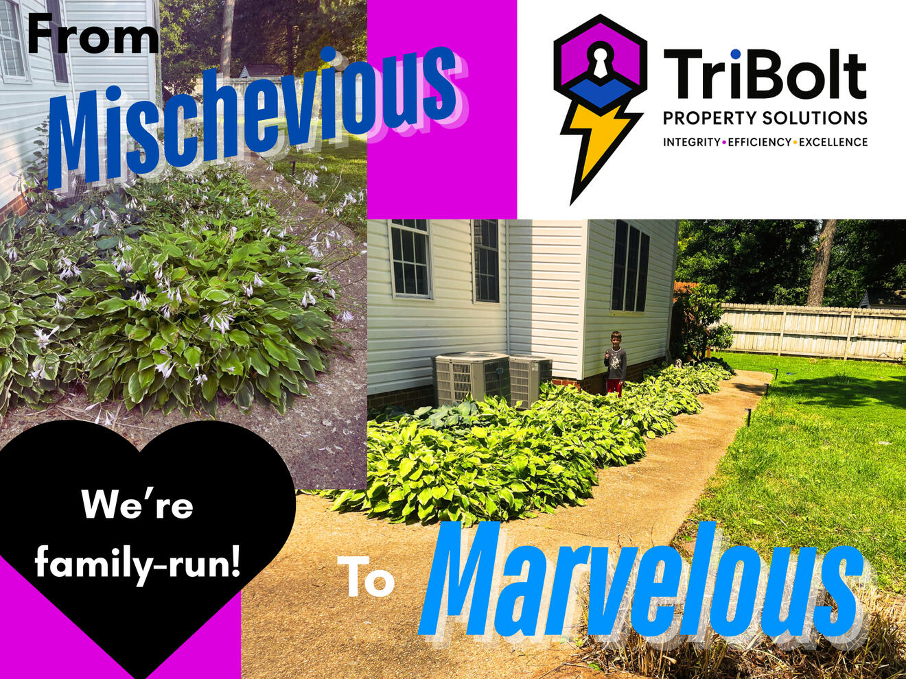 TriBolt Property Solutions Landscaping Project Beautiful Lawn Plants Bushes